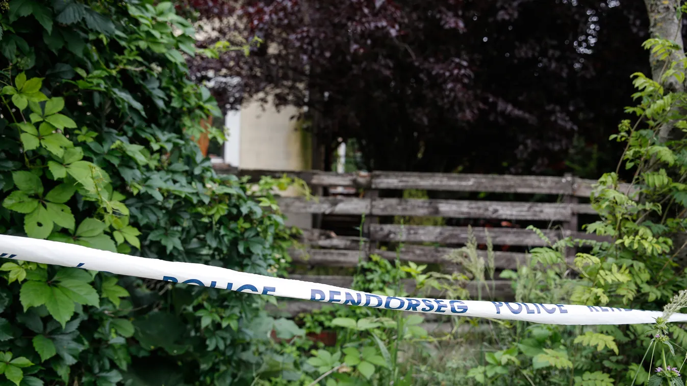 Holttestet, emberi maradványokat találtak Pátyon az egyik ház udvarán 