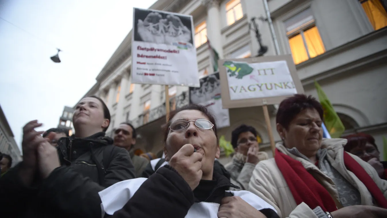 Szociális Elégedetlenség Napja, Szociális Ágazati Demonstrációs Bizottság 