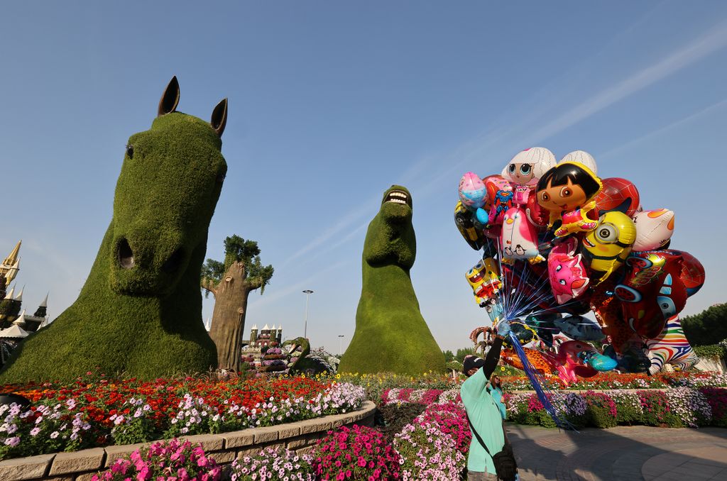 botany lifestyle Horizontal An aerial view shows a balloon seller among flower beds and giant living plant sculptures, at the Dubai Miracle Garden, the world's largest flower garden, in the United Arab Emirates, on November 11, 2020. - The Miracle Garden,