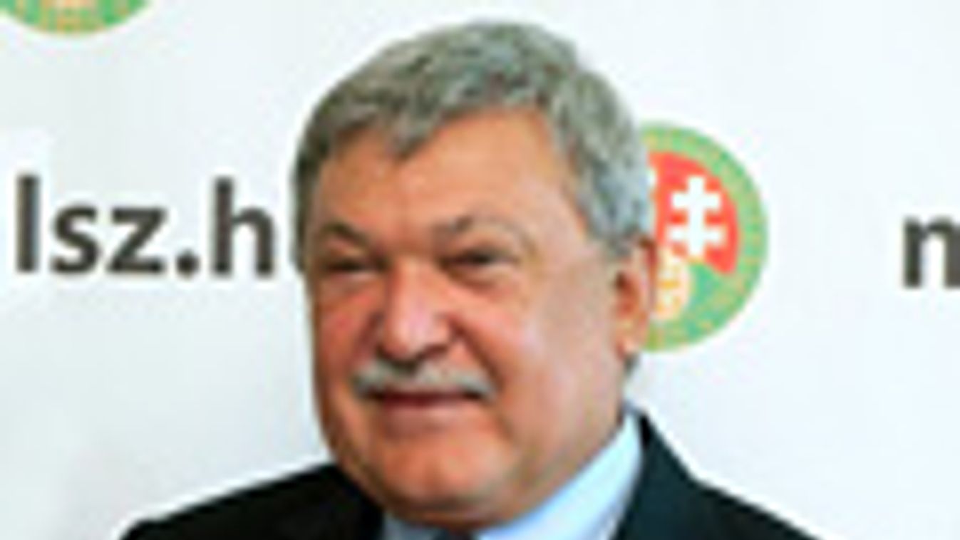 Csányi Sándor, a Magyar Labdarúgó Szövetség (MLSZ) elnöke