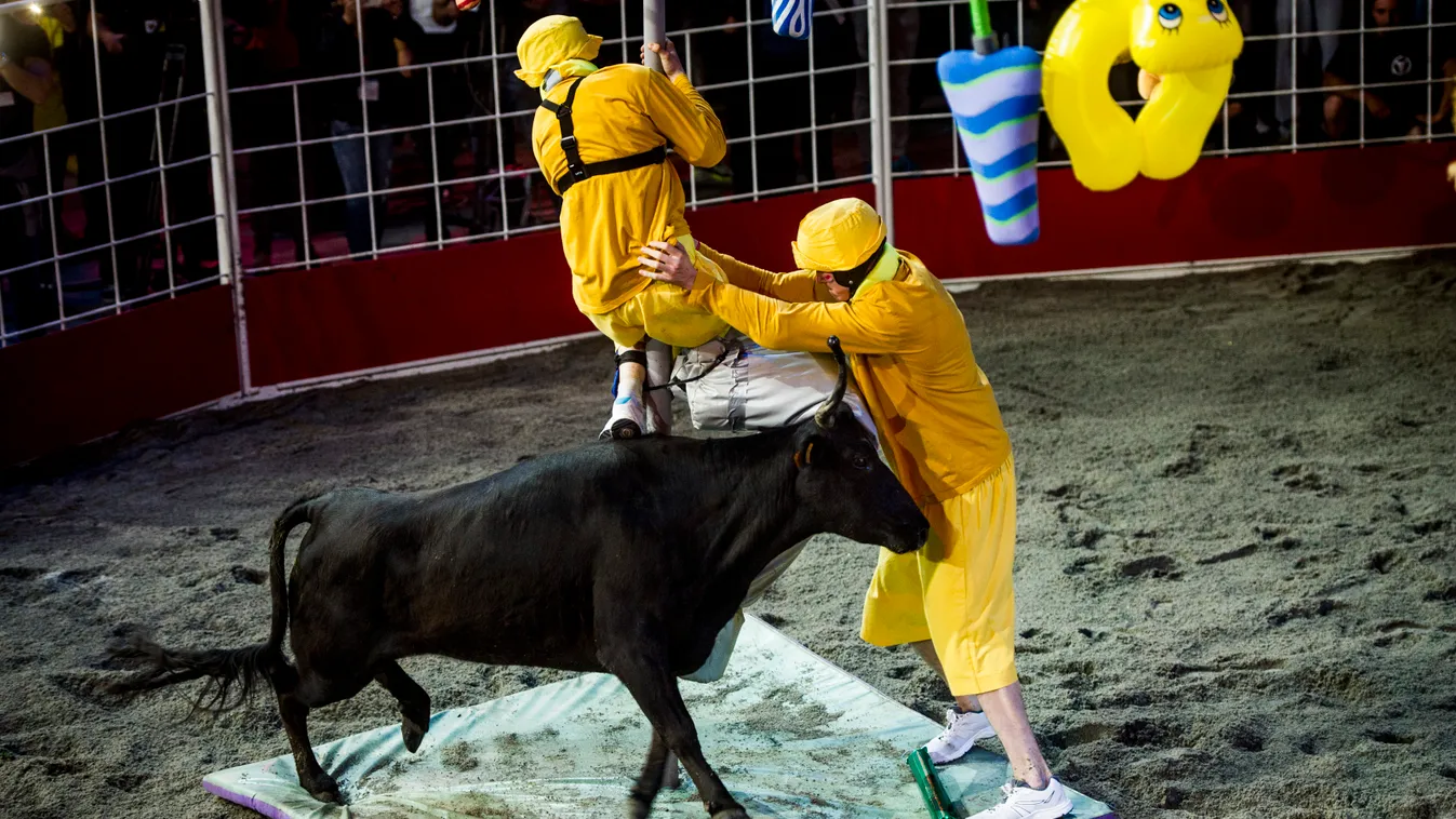 Játék Határok Nélkül vetélkedő forgatás JHN bika 