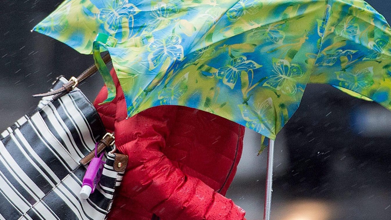 esernyő gyalogos IDŐJÁRÁS ÖLTÖZÉK KIEGÉSZÍTŐ szeles SZEMÉLY München, 2015. március 31.
Egy nő a viharos erejű szél által kicsavart esernyőjével Frankfurtban 2015. március 31-én. (MTI/EPA/Boris Rössler) 