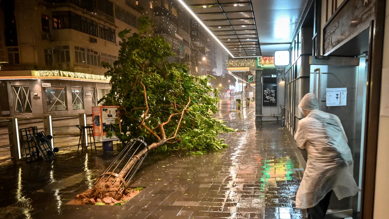 tájfun, Saola, vihar, trópusi, Hongkong 