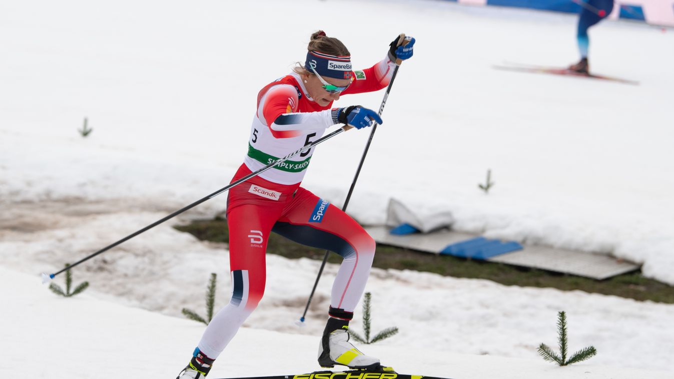 Cross-country Skiing World Cup Dresden Sports Nordic ski CROSS-COUNTRY SKIING WORLD CUP 