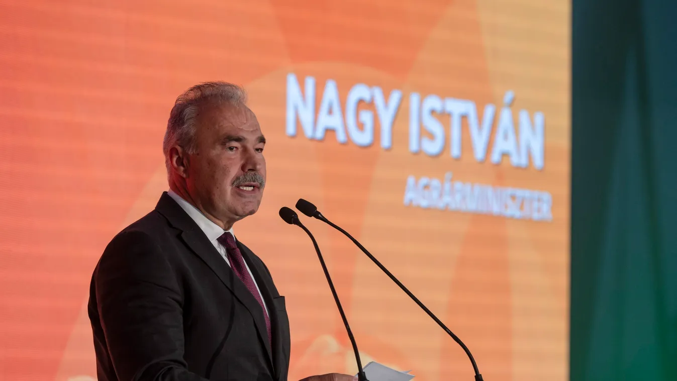 NAGY István 