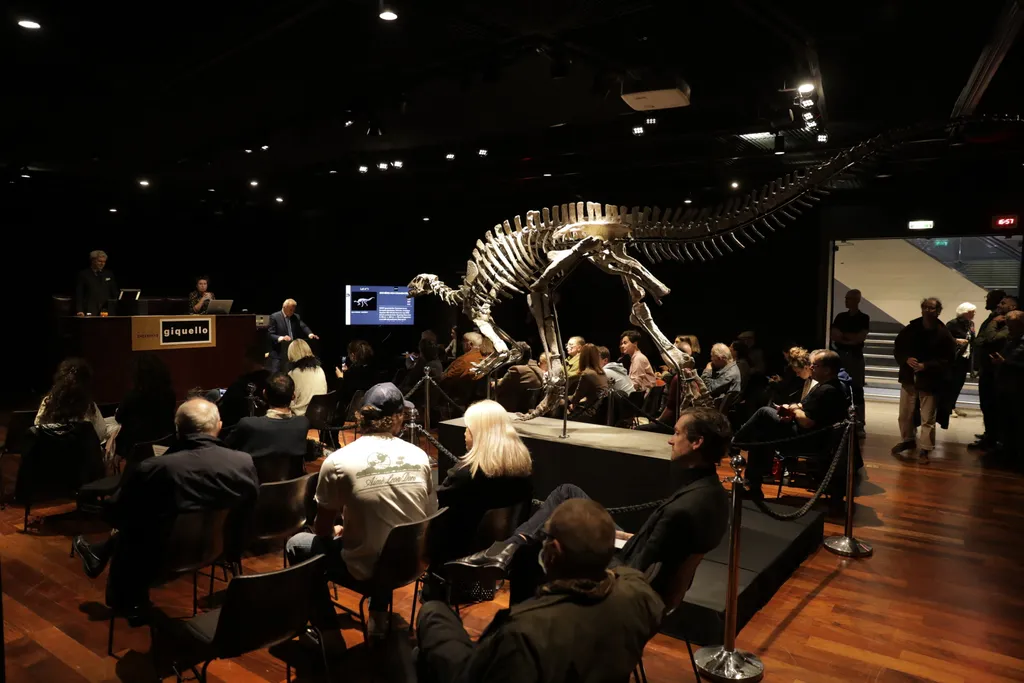 355 millió forint árverezés 150 millió éves dínó csontváz  150-million-year-old Camptosaurus skeleton ''Barry'' is sold for 930.000 euro in Paris Horizontal 