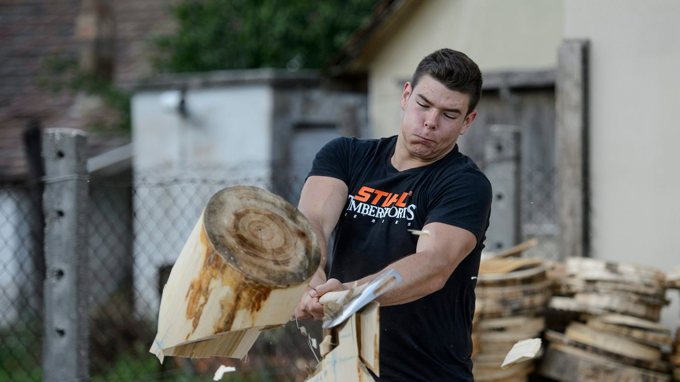 Érsekvadkert, 2015. május 26.
Bakó Norbert rönkhasítást gyakorol érsekvadkerti otthonának udvarán 2015. május 26-án. A sportfavágó második helyezést ért el a május 15-én Firenzében megrendezett STIHL Timbersports Ifjúsági Világbajnokságon.
MTI Fotó: Komka