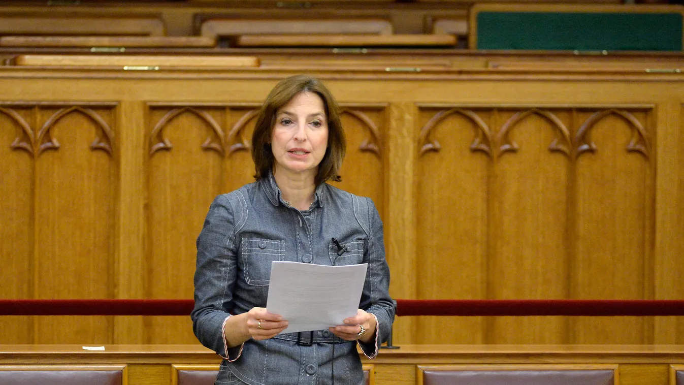 Szelényi Zsuzsanna felszólal független képviselő Közéleti személyiség foglalkozása plenáris ülés politikus politikusnő SZELLEMI TEVÉKENYSÉG SZEMÉLY 
