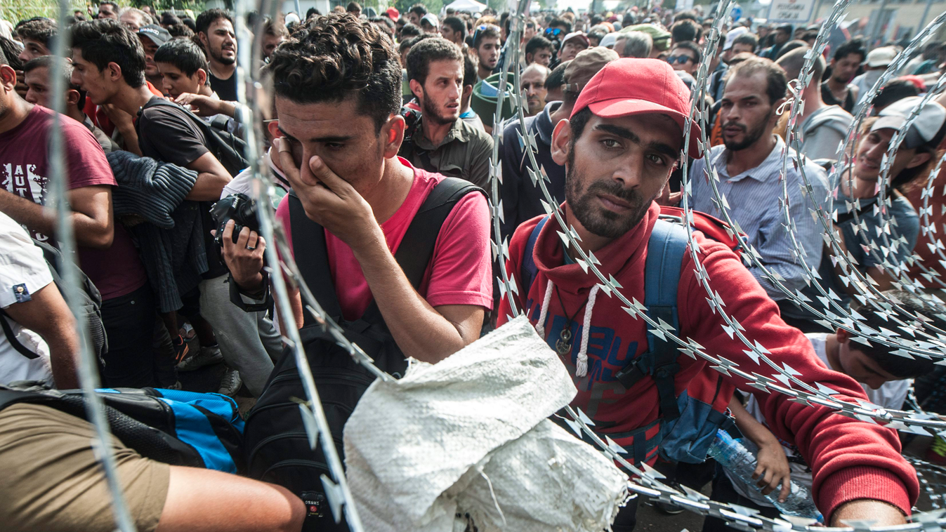 Horgos, menekültek, 2015.09.16. 