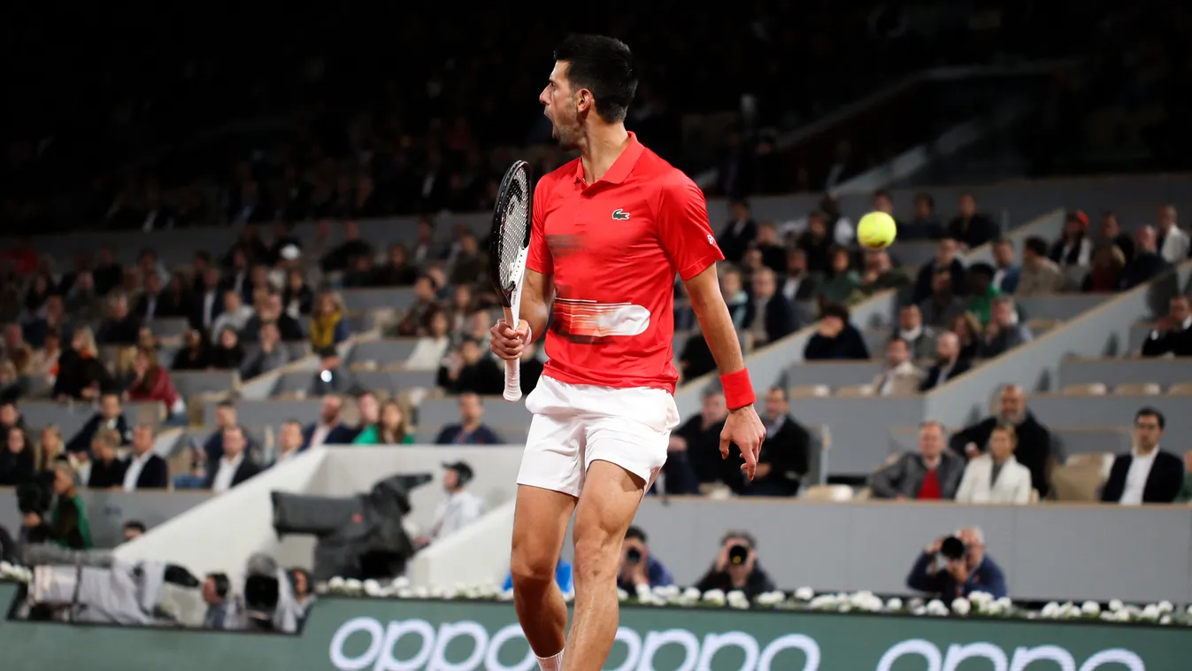 Novak Djokovic, Roland Garros 