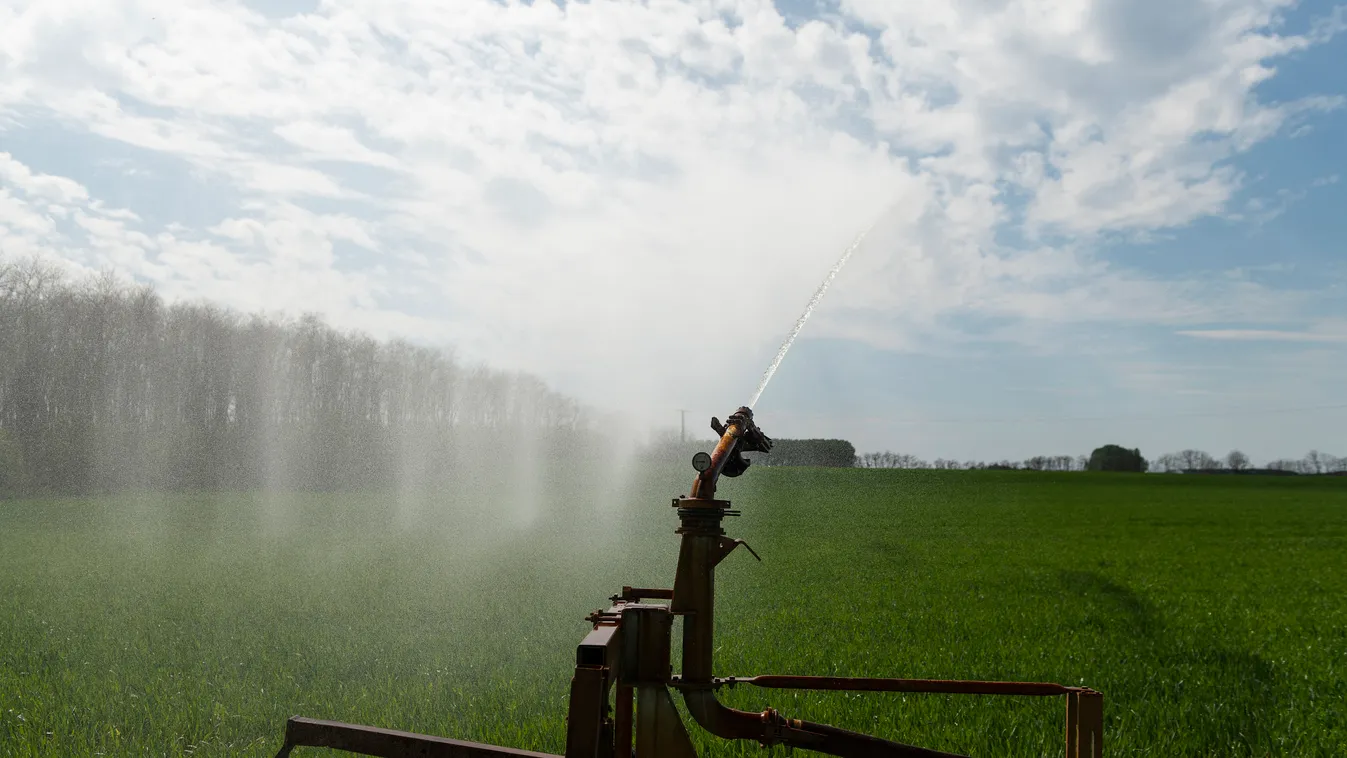 búzaföld búzatábla NÖVÉNY öntözés öntözőberendezés öntözőrendszer vízpermet vízsugár magyar mezőgazdaság Magyarország 