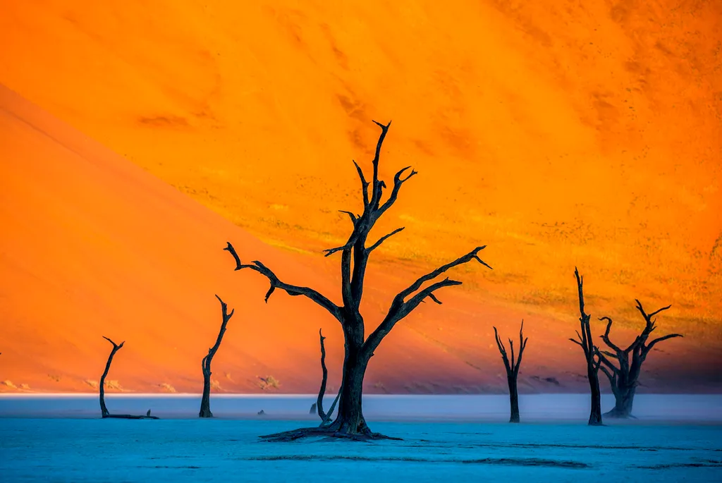 másik bolygó  Dry beautiful trees on the background of the red dunes with a beautiful texture of sand. Sossusvlei. Namib-Naukluft National Park. Landscapes of Namibia. Africa. 