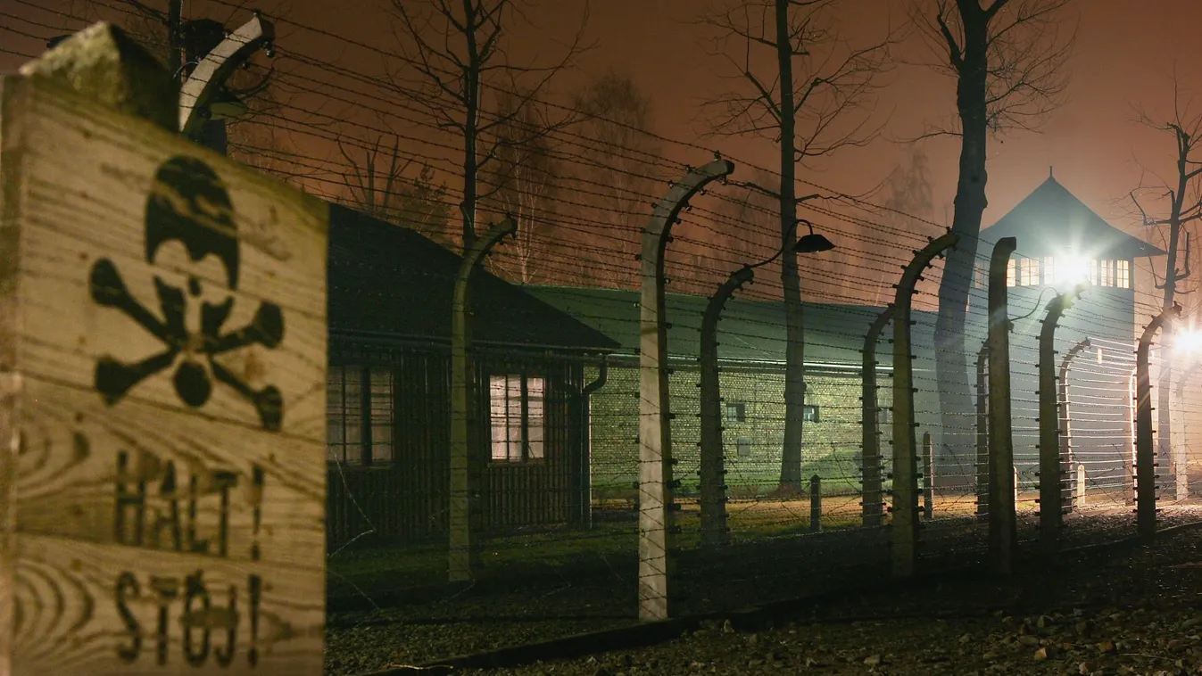 Johann Breyer náci bűnökkel gyanúsított amerikai, Auschwitz 