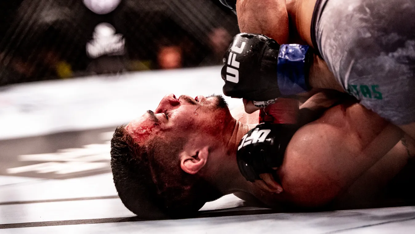 UFC Fortaleza Horizontal 