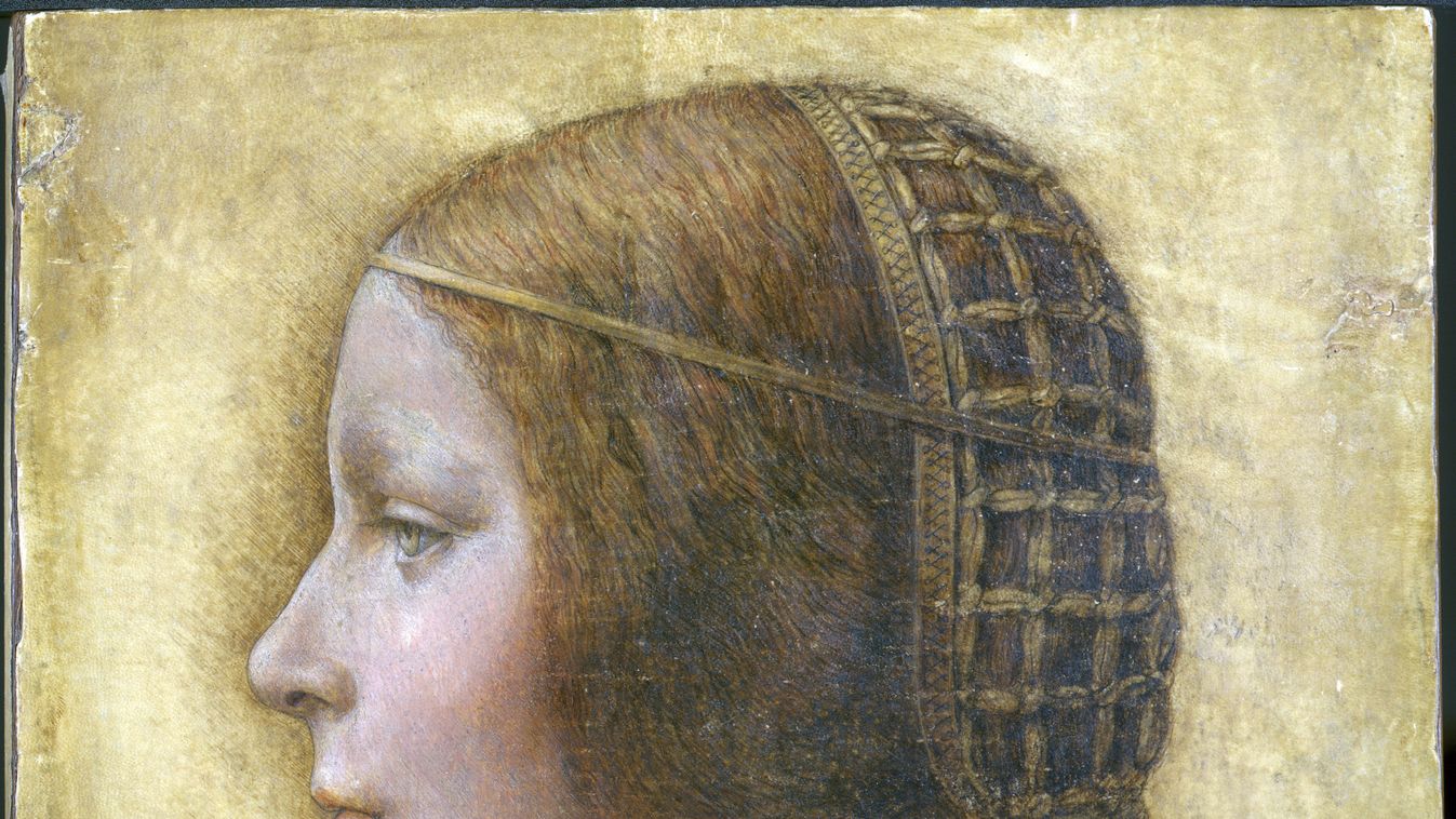 Portrait of a young Lady by Leonardo da Vinci 