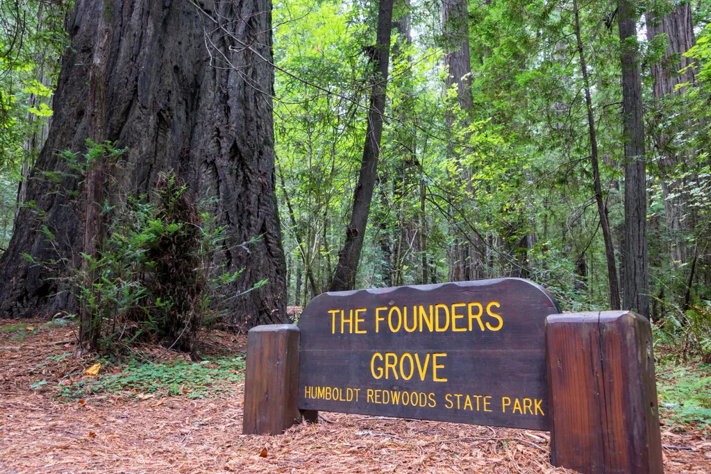 Humboldt Redwoods State Park, nemzeti Park, Kalifornia, galéria, 2023 