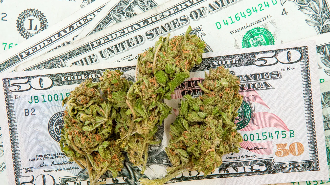 marihuána dollár USD 