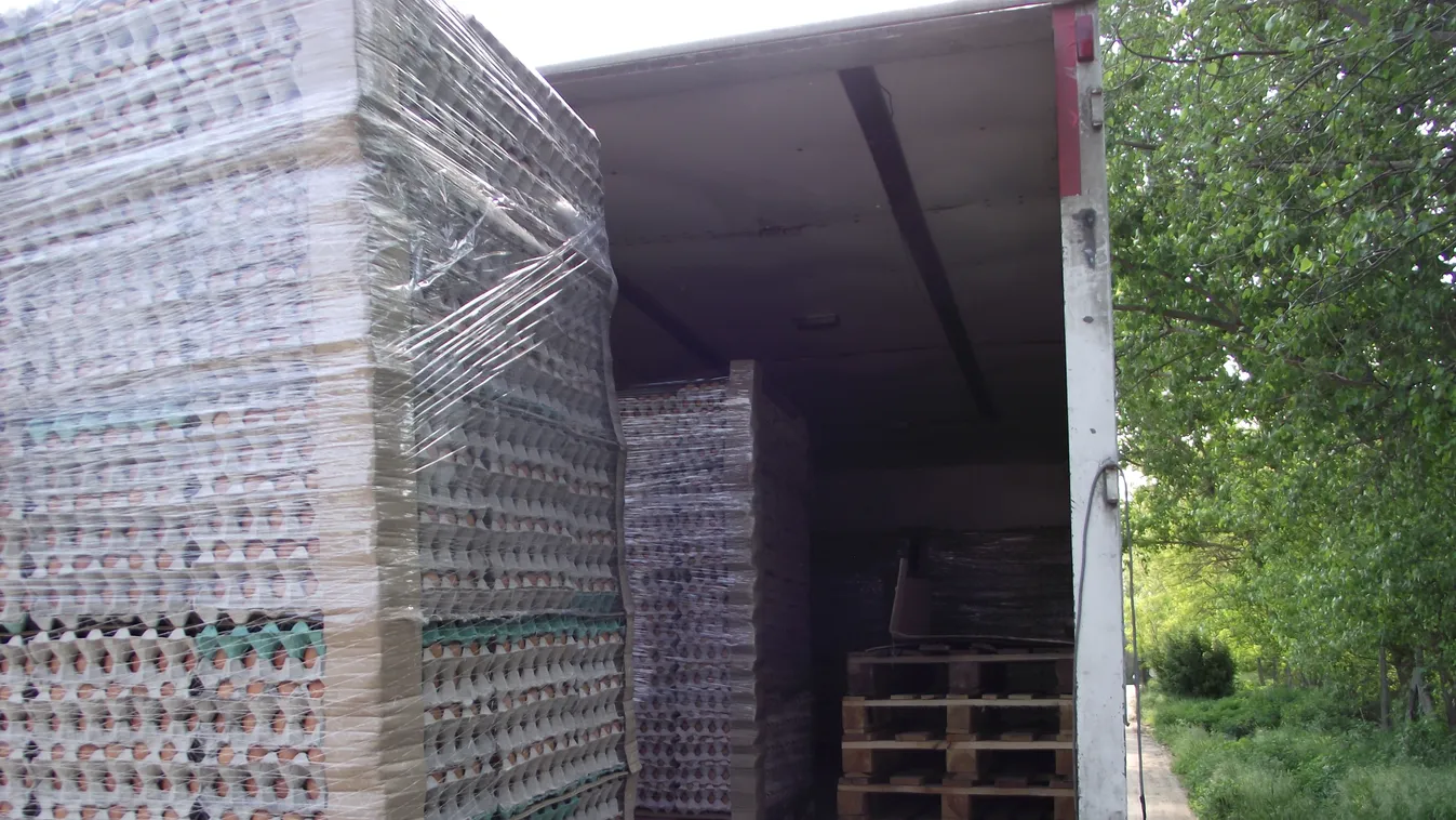 Öt tonna tojás érkezett EKÁER szám nélkül Szlovákiából 