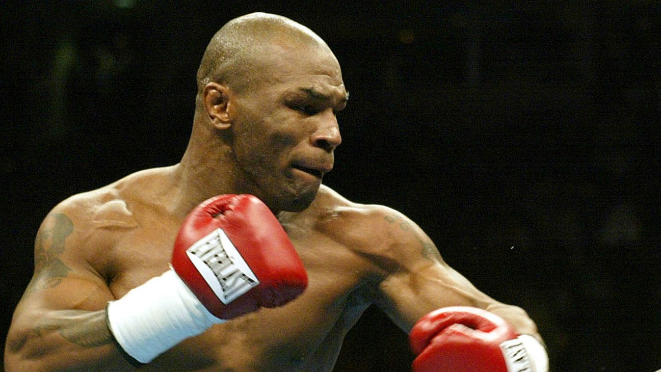 Mike Tyson, boksz, ökölvívás 