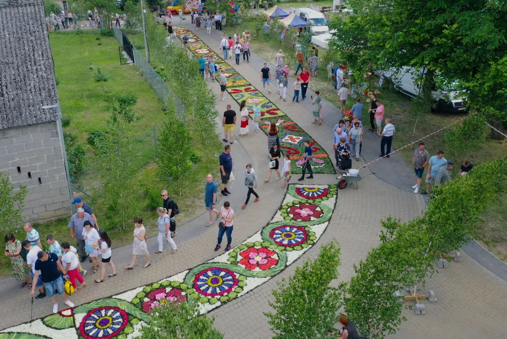 Corpus Christi vallásos körmenet alkalmából virágszőnyeget terítenek le Spycimierzben, Lengyelországban, vallás, kereszténység, felvonulás, virág, virágszirom, ünnep, ünneplés, vallási ünnep 