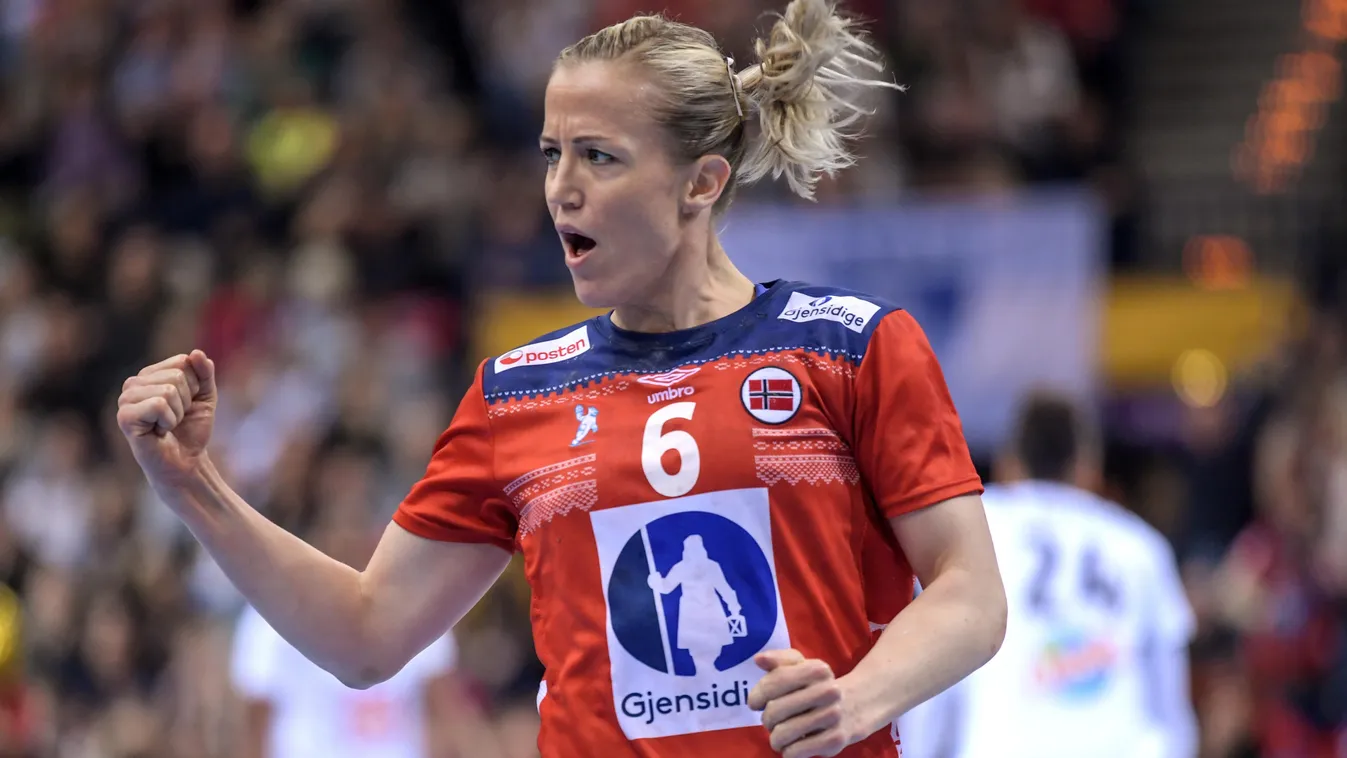 2017 World Women's Handball Championship: Norway vs France HANDBALL Handball (Team) 