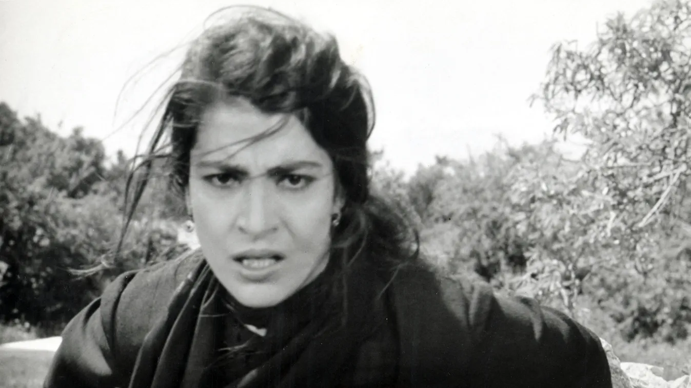 Zorba The Greek Cinema anger Horizontal 