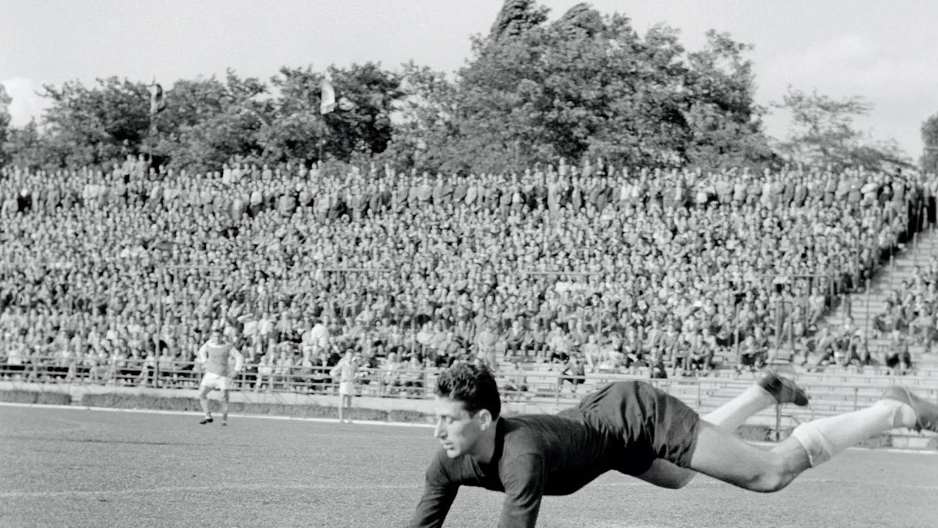 Újpesti Dózsa SC,  Dorogi Bányász FC NB I-es labdarúgó mérkőzés, 1962.09.08. 