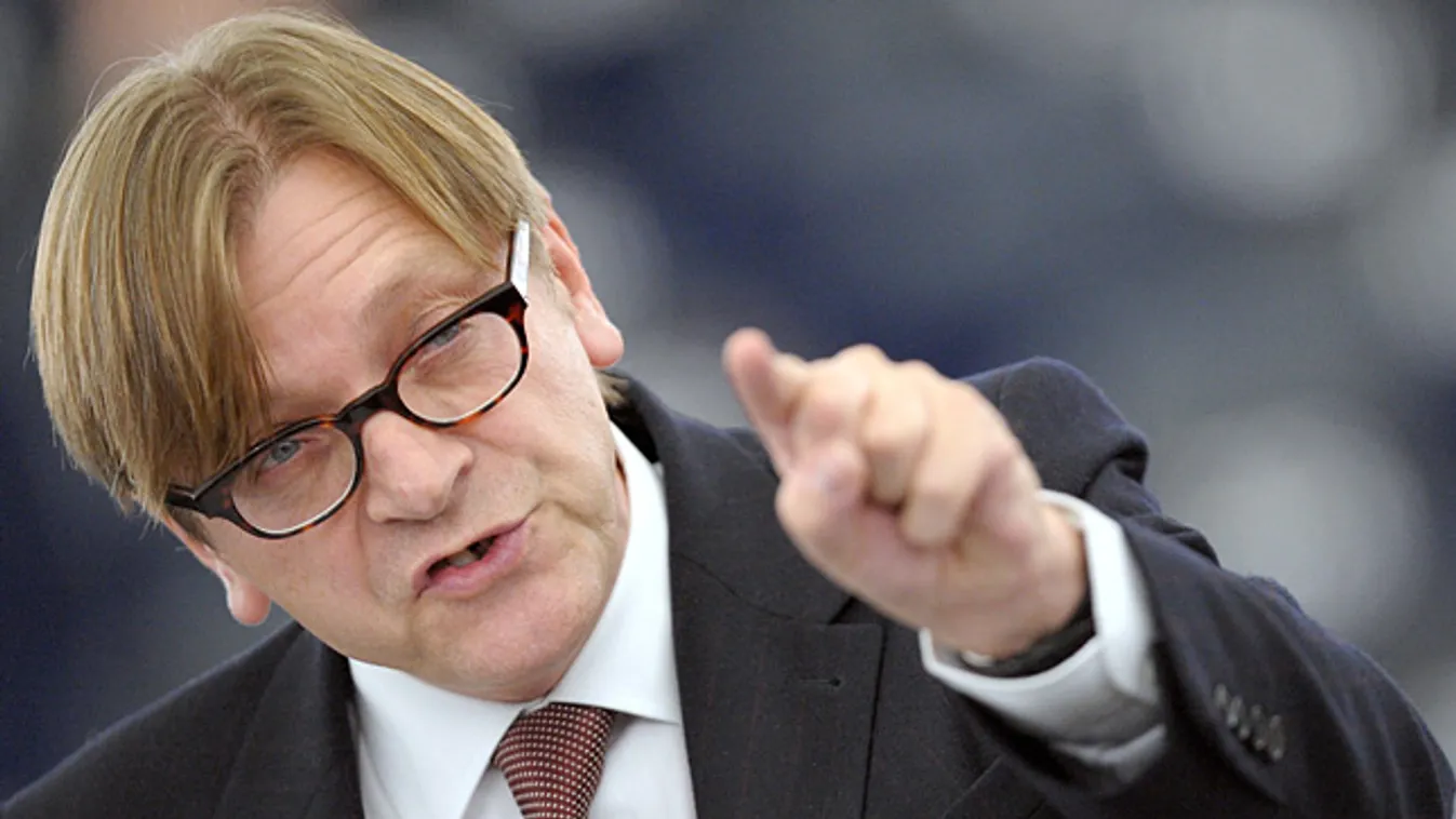 Guy Verhofstadt, az EP liberális demokrata frakciójának (ALDE) vezetője 
