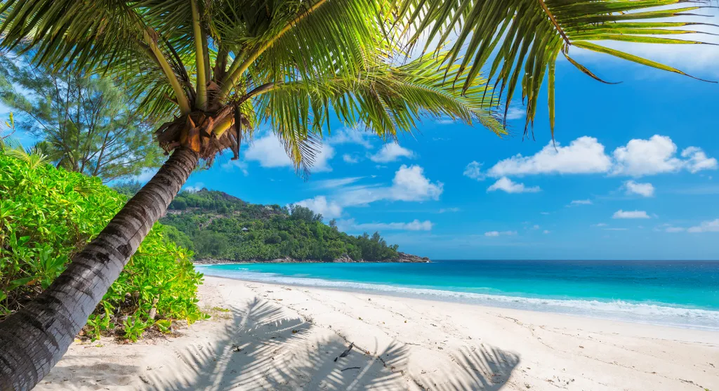 Ezek a világ legszebb tengerpartjai, Jamaica Inn beach, Jamaica 