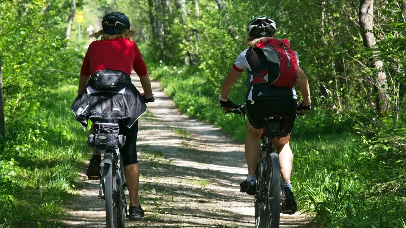 bicikli, kerékpár, túra, erdő 