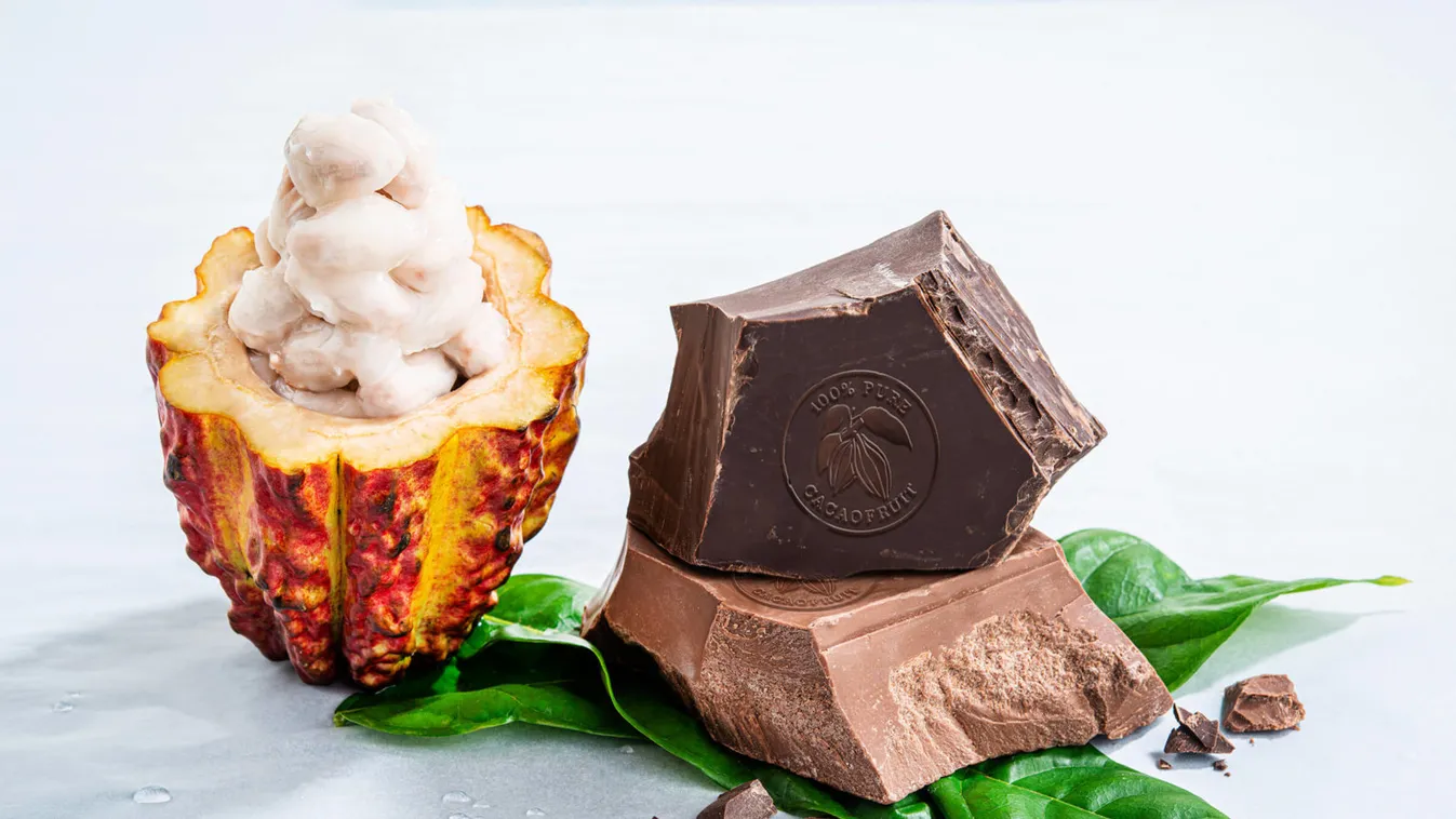 ‘Cacaofruit Experience’ eliminates 70% of waste in cacao processing while addressing consumer demand for tasty, nutritious, whole foods; WholeFruit chocolate is a fresh, fruity chocolate made from 100% pure cacao fruit, is available for chefs and artisans