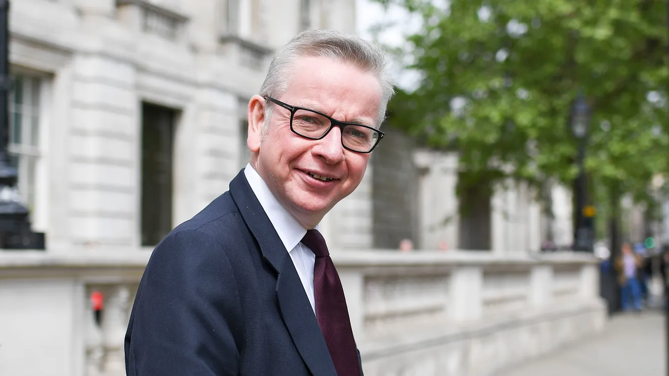 Michael Gove 