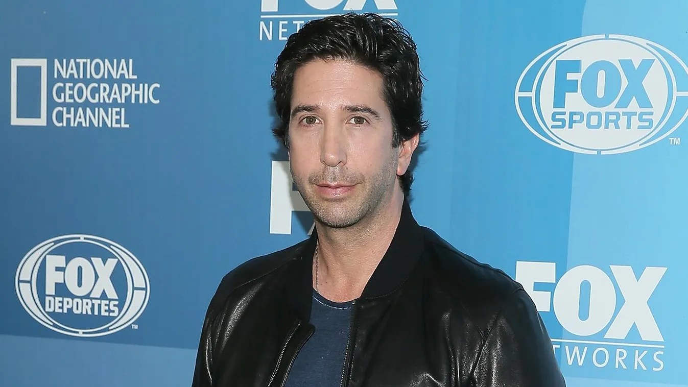 2015 FOX Programming Presentation GettyImageRank2 Presenting VERTICAL USA New York City Central Park - Manhattan ACTOR Wollman Rink David Schwimmer Arts Culture and Entertainment Attending 2015 FOX Programming A-List Celebrity in central PersonalityInQueu