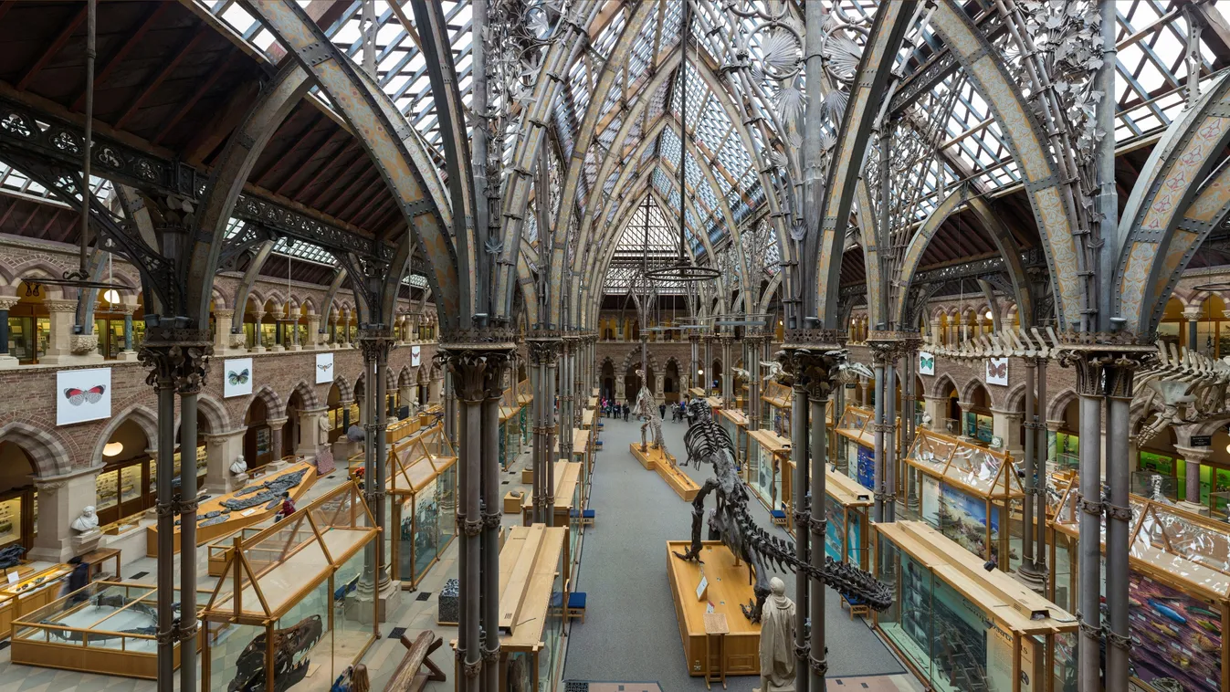 Oxford University Museum of Natural History 