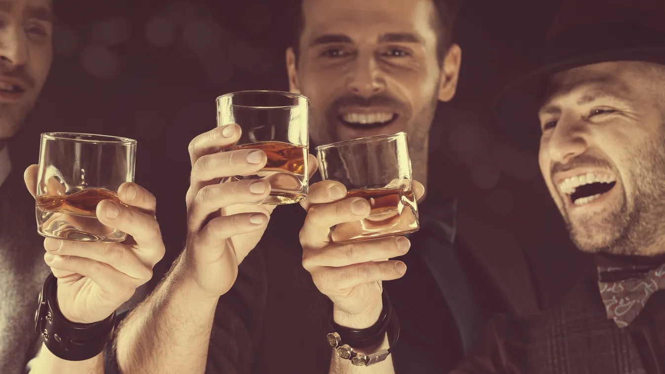 Happy elegant men toasting with whiskey Fashion Upper Class Toothy Smile Social Gathering Businessman After Work Men Males Three People Group Of People Celebration Nightlife High Society Whiskey Drinking Glass 30-39 Years Mid Adult Adult Smiling Laughing 