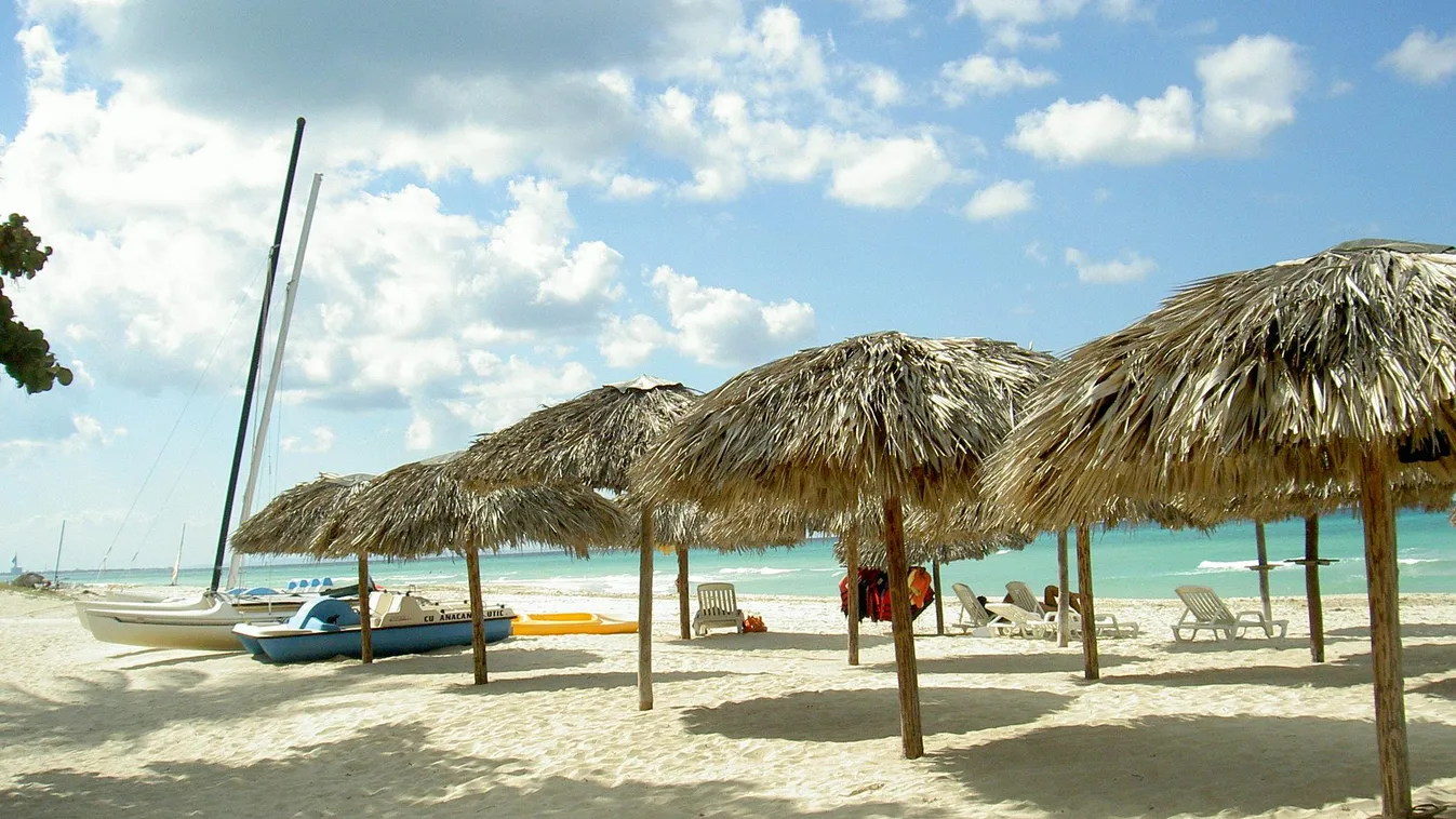 Kubai tengerpart 