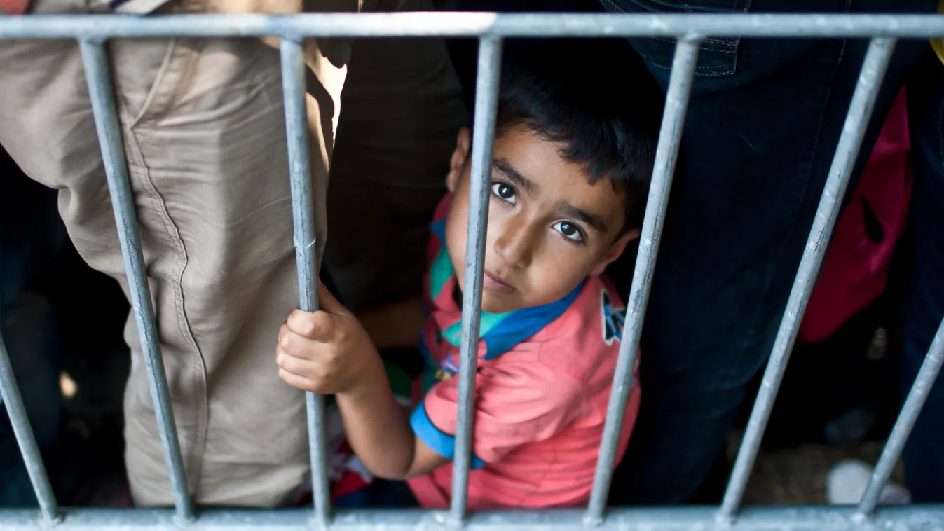 Szerbia , Presevo, szír menekülét gyerek apja nadrágjába kapaszkodva várja hogy regisztrálják a szerb hatóságok.
Fotó:Dudás Szabolcs
2015.07.08. 
