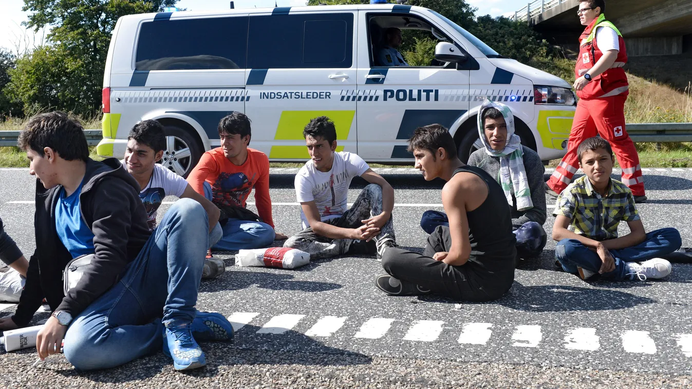 Dánia, bevándorlók, menekültek, migránsok 