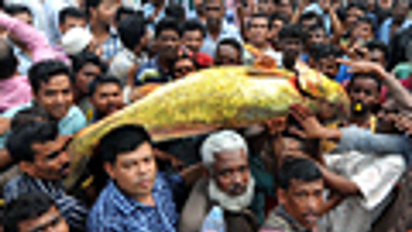 ritka, arany színű sügért mutatnak a bangladesi Chittagong halészfaluban, amit 38000 dollárárt kelt el