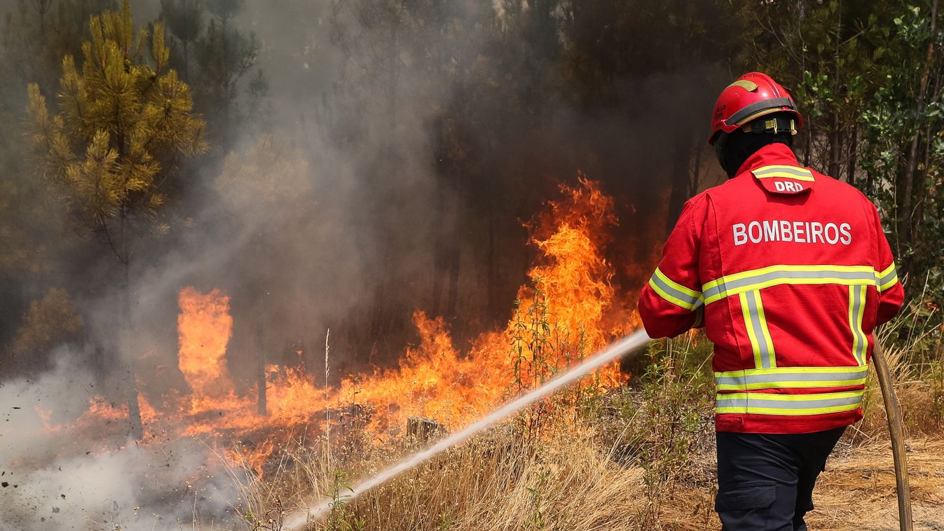 erdőtűz, tűz, Portugália 