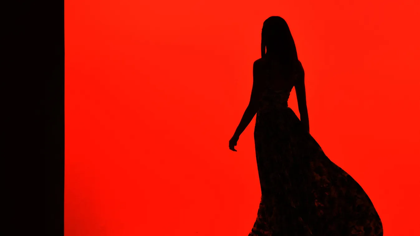 woman model silhouette, "ismeretlen" modell, ismeretlen, modell, modell sziluett, illusztráció 