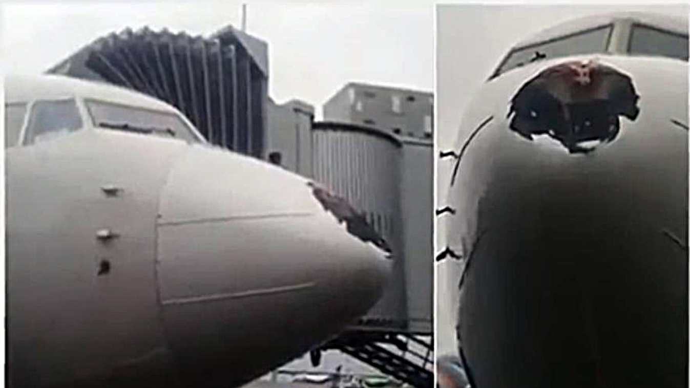 Aeroflot madár becsapódás 