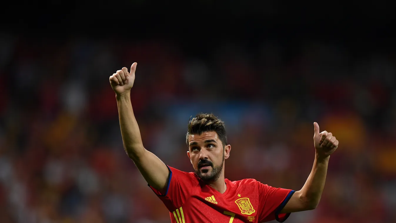 David Villa 