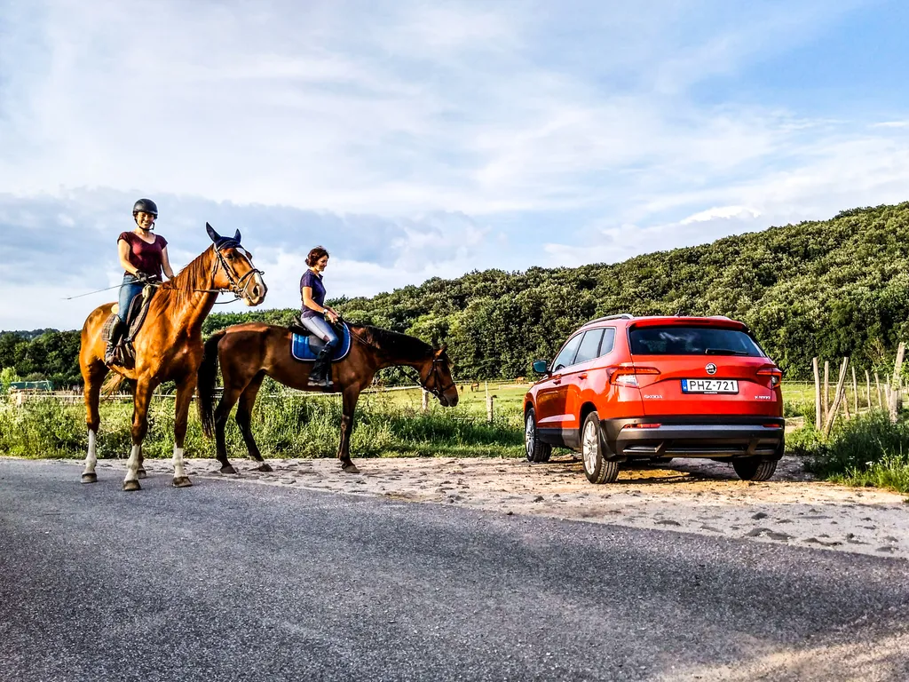 Skoda Karoq teszt 