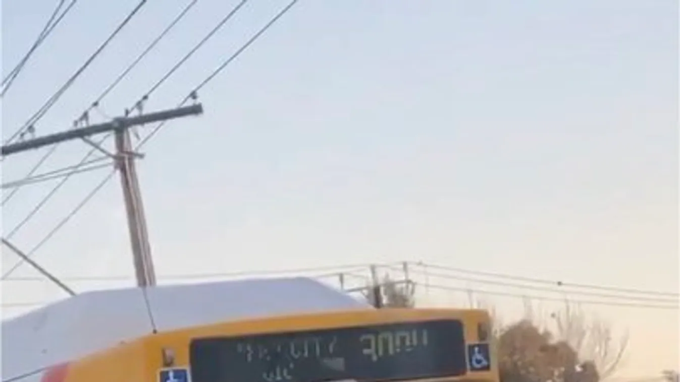 busz támadás alsógatyában Adelaide 