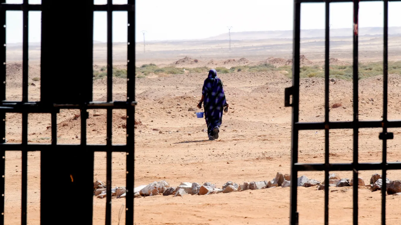 Sahrawi woman walks in the desert Western Sahara refugees camp . Algeria 
