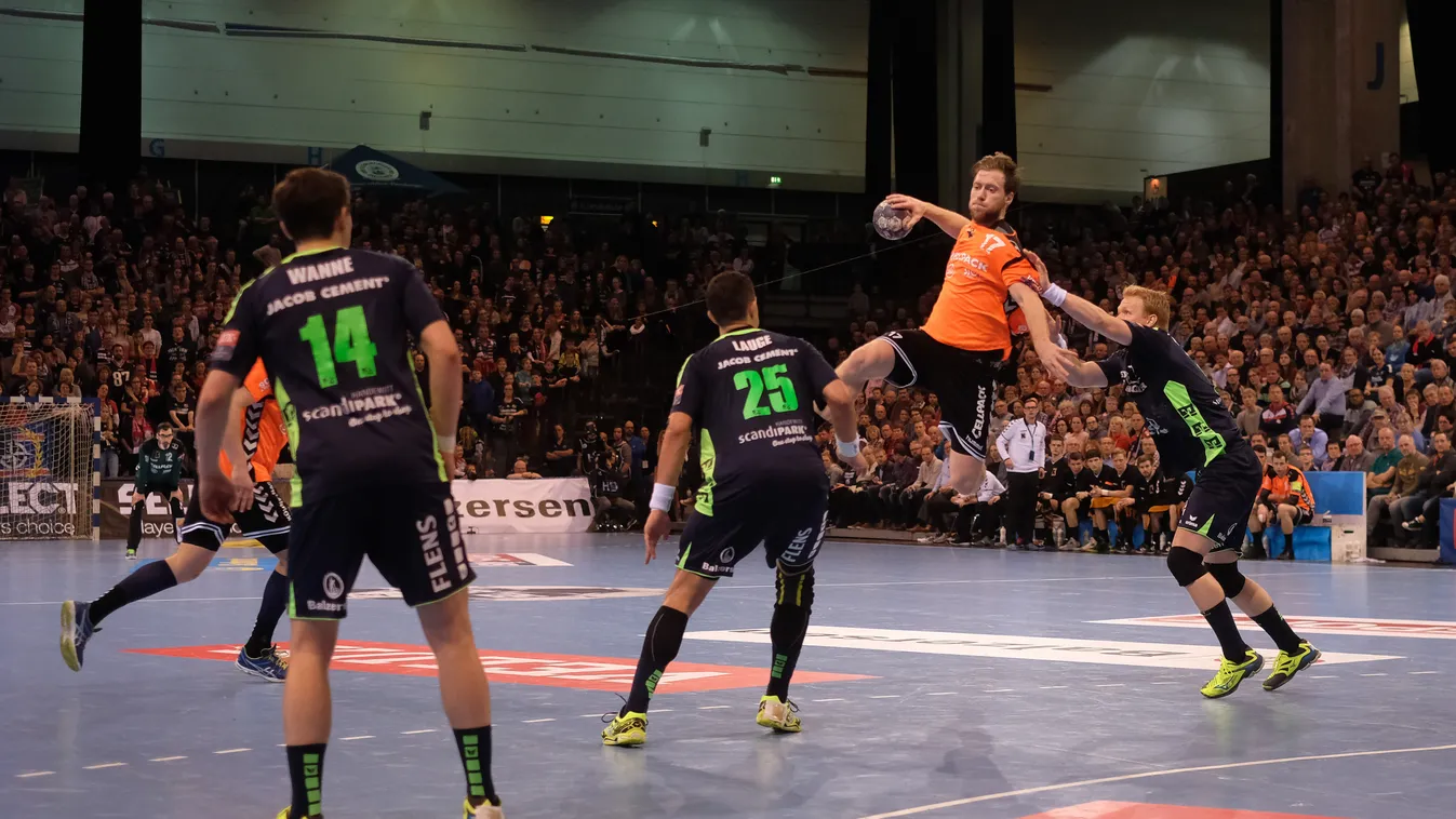 Handball: SG Flensburg-Handewitt vs. Kadetten Schaffhausen HANDBALL Handball (Team) 