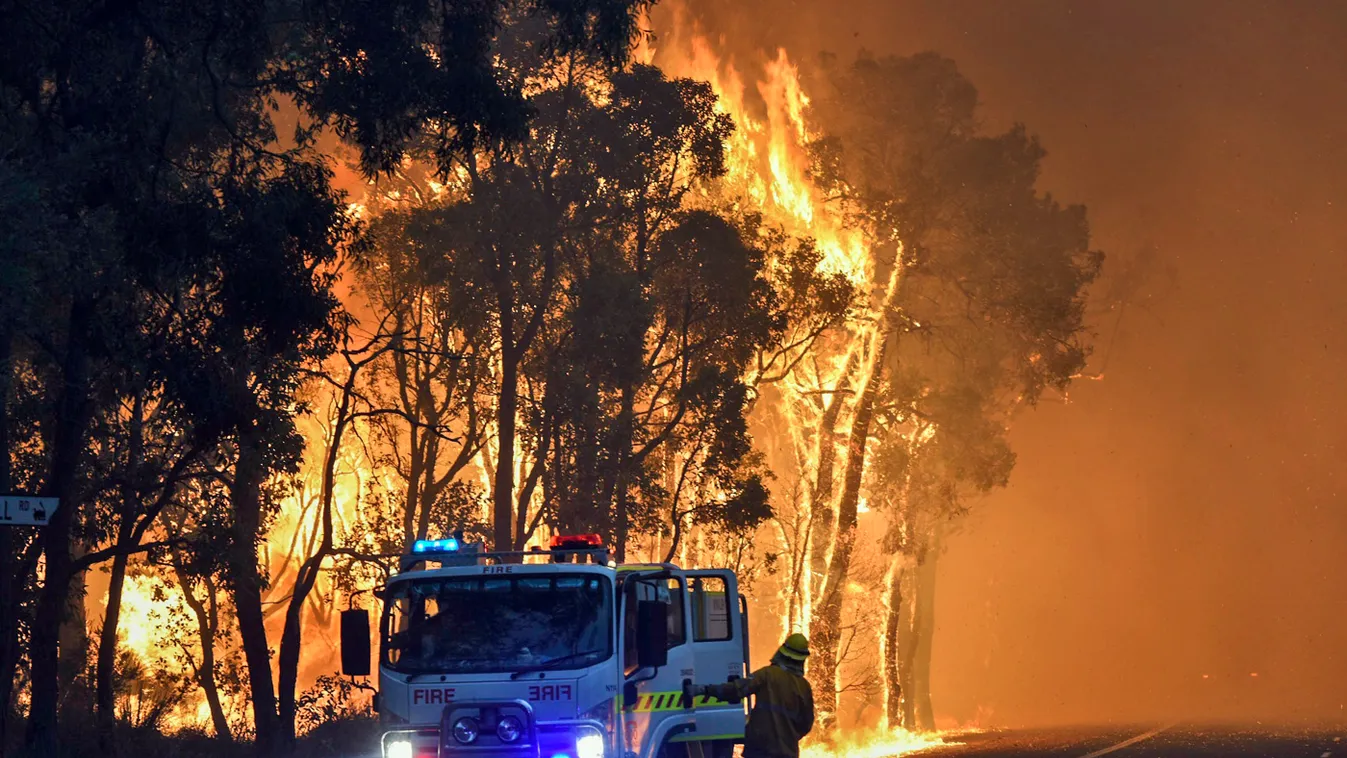 tűz, bozóttűz, Ausztrália 
