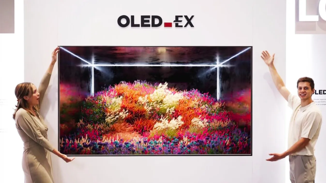 LG OLED.EX 