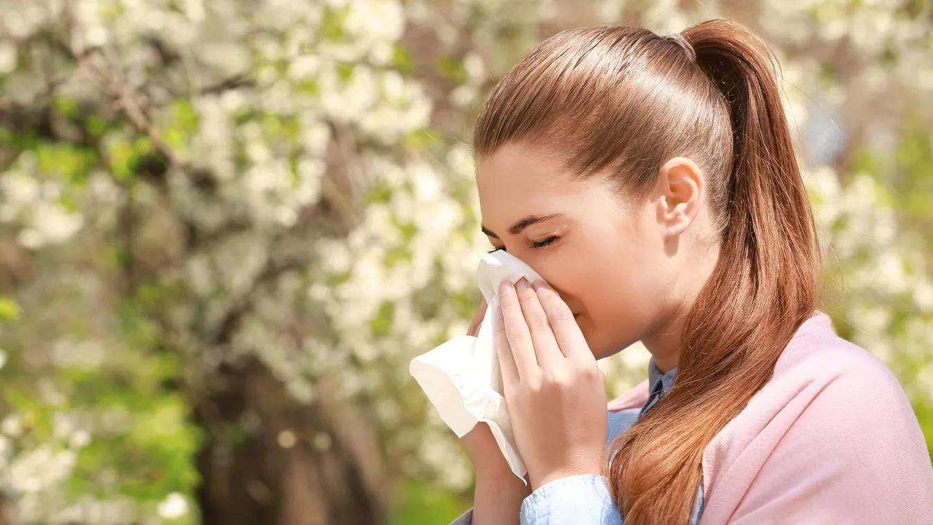 tavasz Nyári allergia kisokos - avagy tudd, milyen pollenekkel állsz szemben 